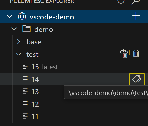 Pulumi ESC Explorer - tag revisions
